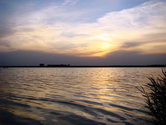 Doar ... NATURA - 4 - dsc01960resize1.jpg